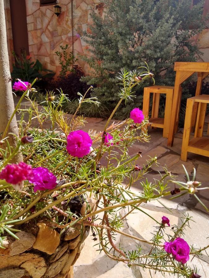 Pousada Paraiso Dos Pireneus 피라노폴리스 외부 사진